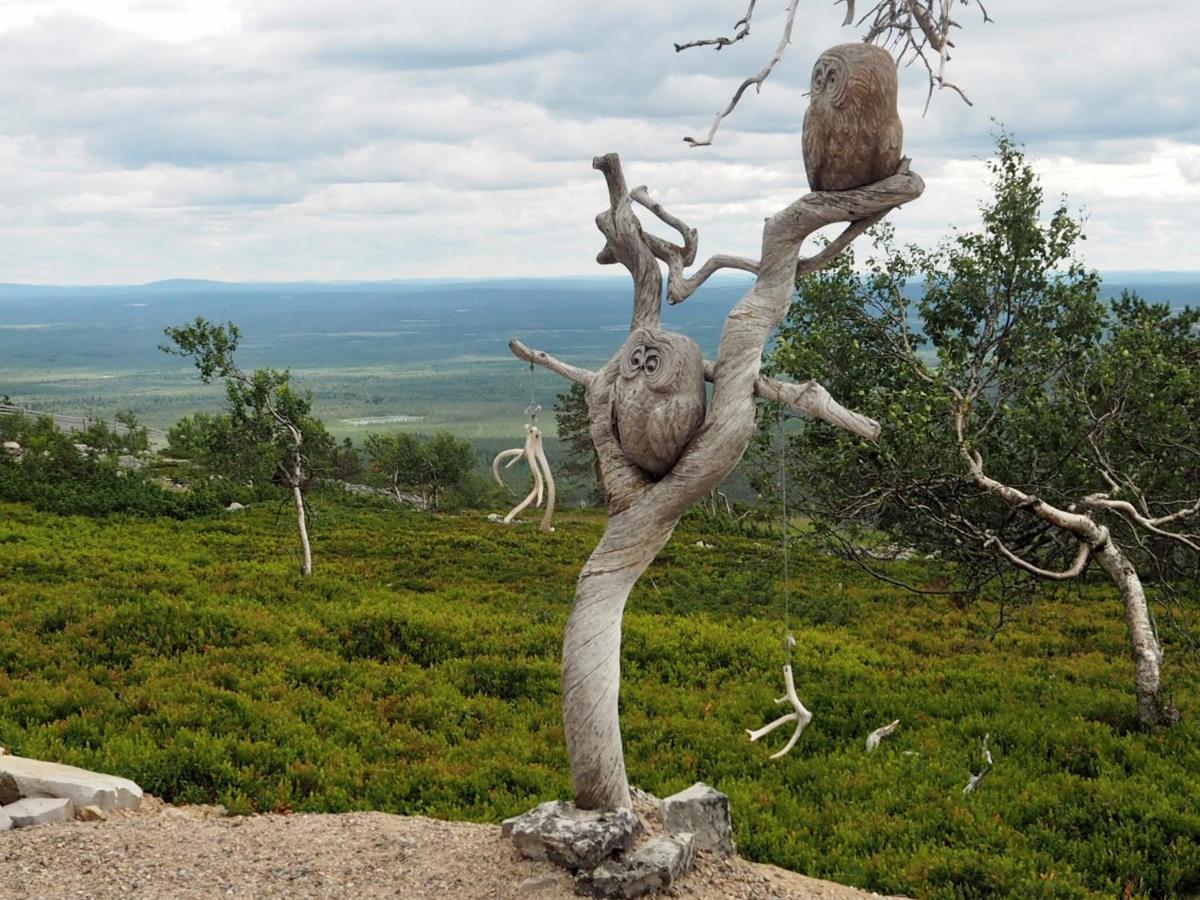 Pyhae Saukonpiilo Villa Pelkosenniemi ภายนอก รูปภาพ